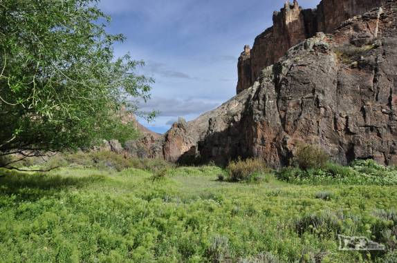 Oásis no fundo do canyon onde está a Cueva de Las Manos, no sul da patagônia, na Argentina